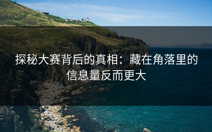 探秘大赛背后的真相：藏在角落里的信息量反而更大