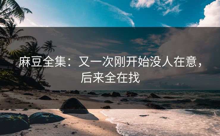 麻豆全集：又一次刚开始没人在意，后来全在找