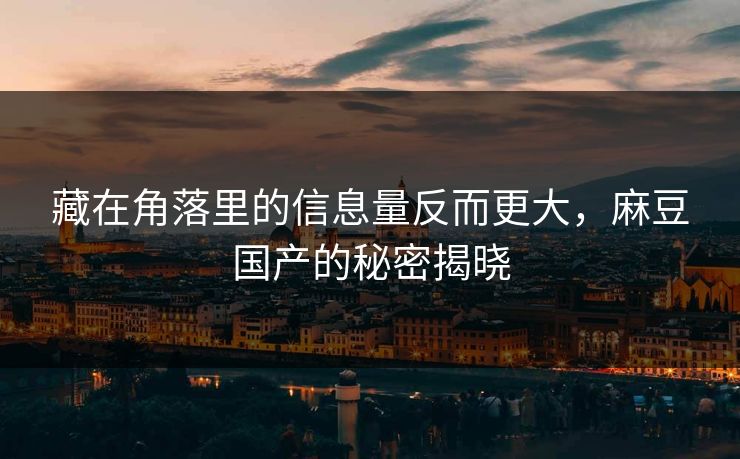 藏在角落里的信息量反而更大，麻豆国产的秘密揭晓